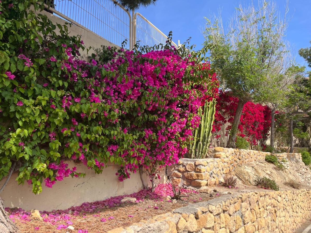 Apartament Roymar 14 Playa Benidorm Zewnętrze zdjęcie