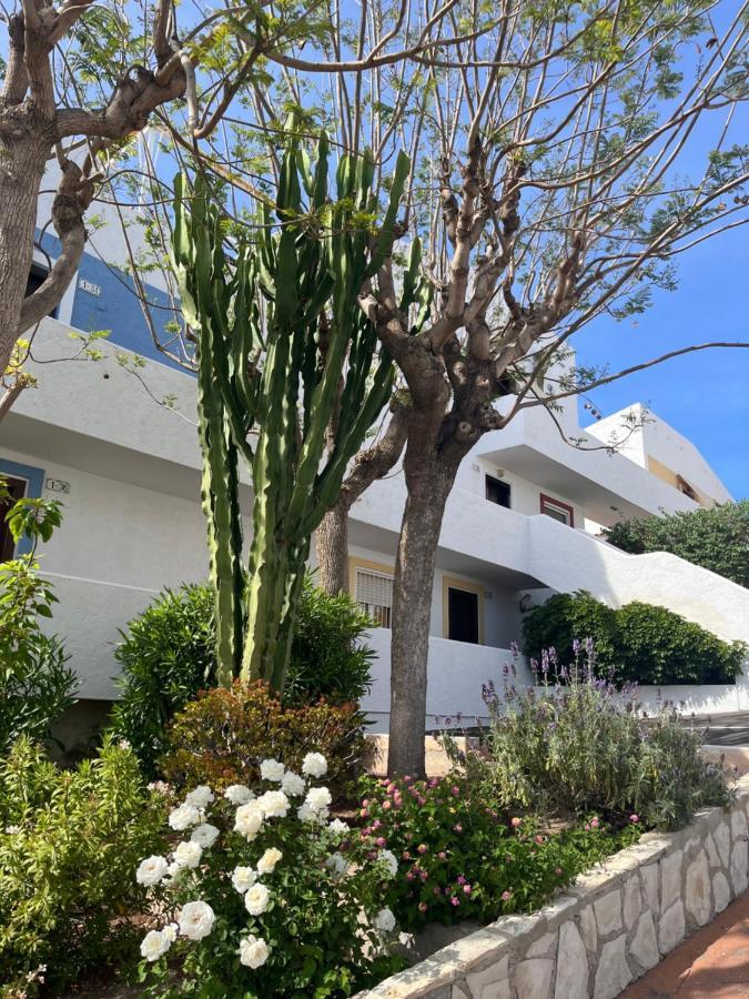 Apartament Roymar 14 Playa Benidorm Zewnętrze zdjęcie